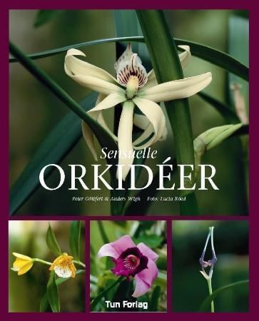 Sensuella orkidéer