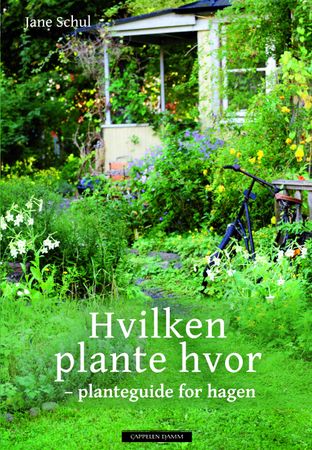 Hvilken plante hvor?