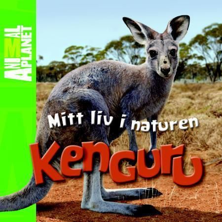 Kangaroo