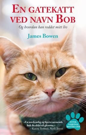 A street cat named Bob