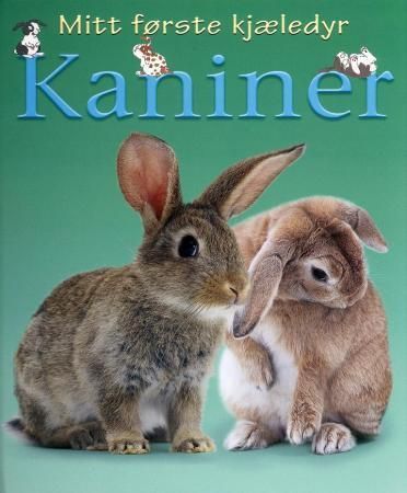Rabbits