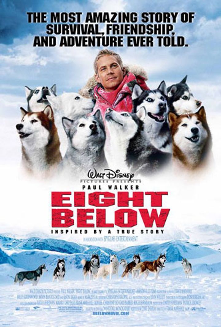 Eight below