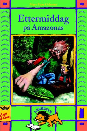 Afternoon on the Amazon
