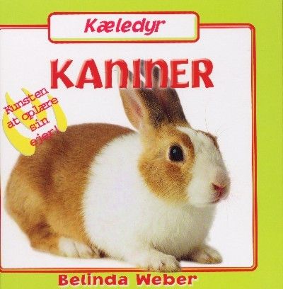 A rabbit's guide to ownership