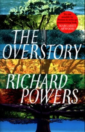 The overstory