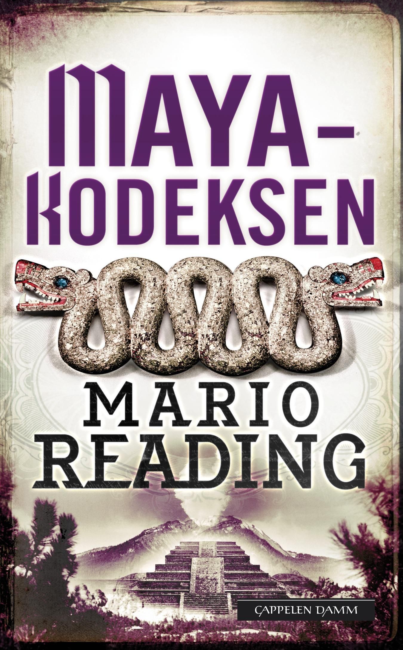 The Mayan codex