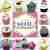 Heklede cupcakes