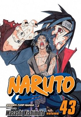 Naruto. 43. Shinjitsu o shiru mono