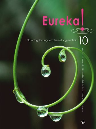 Eureka! 10. Grunnbok