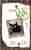 Har du sett katten vår?
