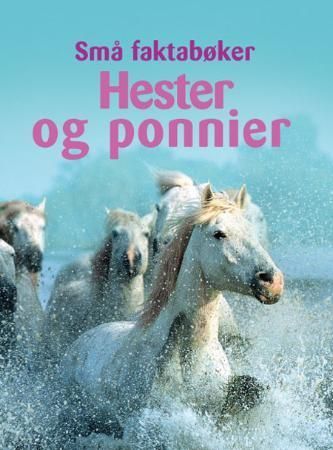 Horses and ponies