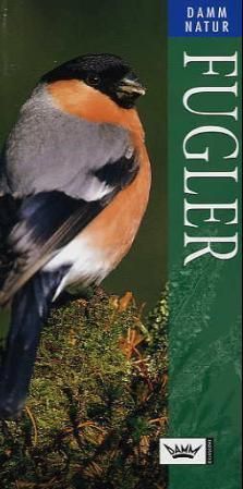 RSPB pocket birds