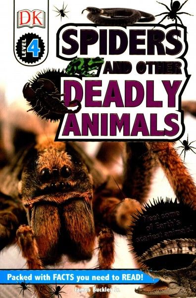 Spiders and other deadly animals