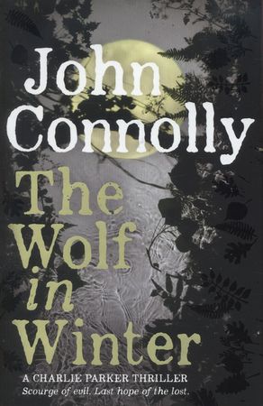 The wolf in winter