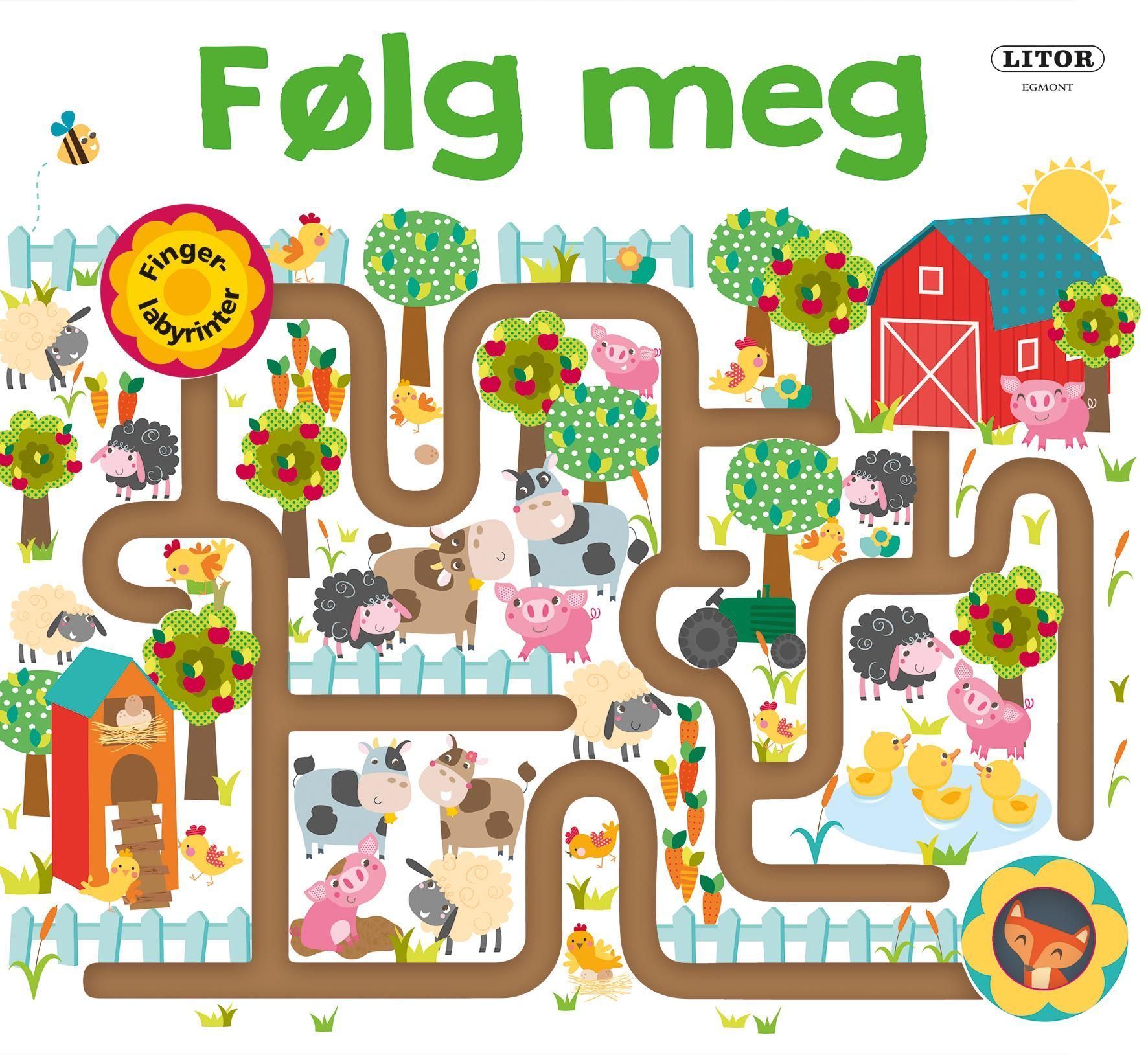 Maze book