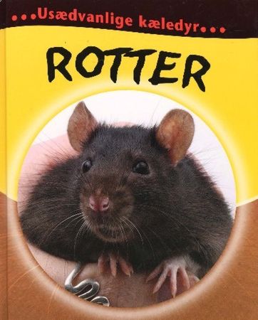 Rat