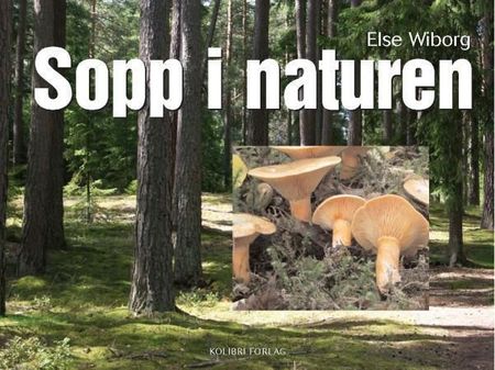 Sopp i naturen