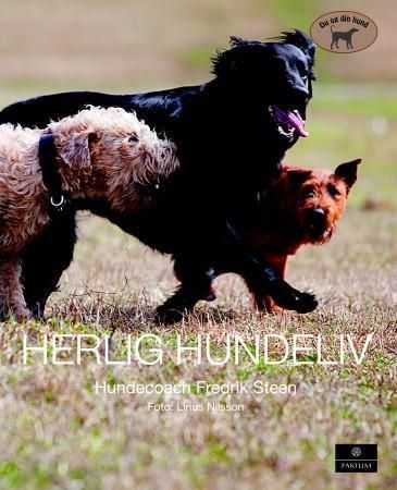 Härligt hundliv