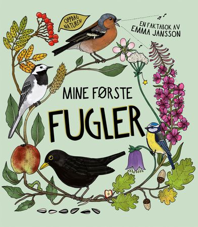Mina första fåglar