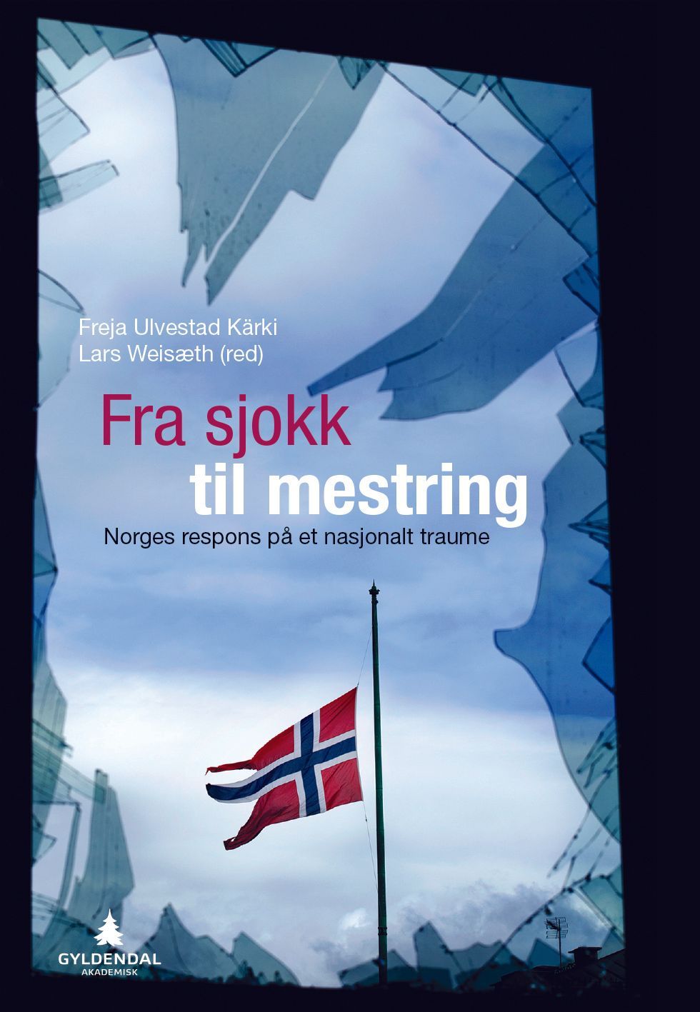 Fra sjokk til mestring