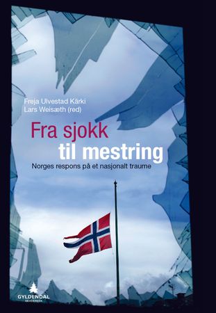 Fra sjokk til mestring