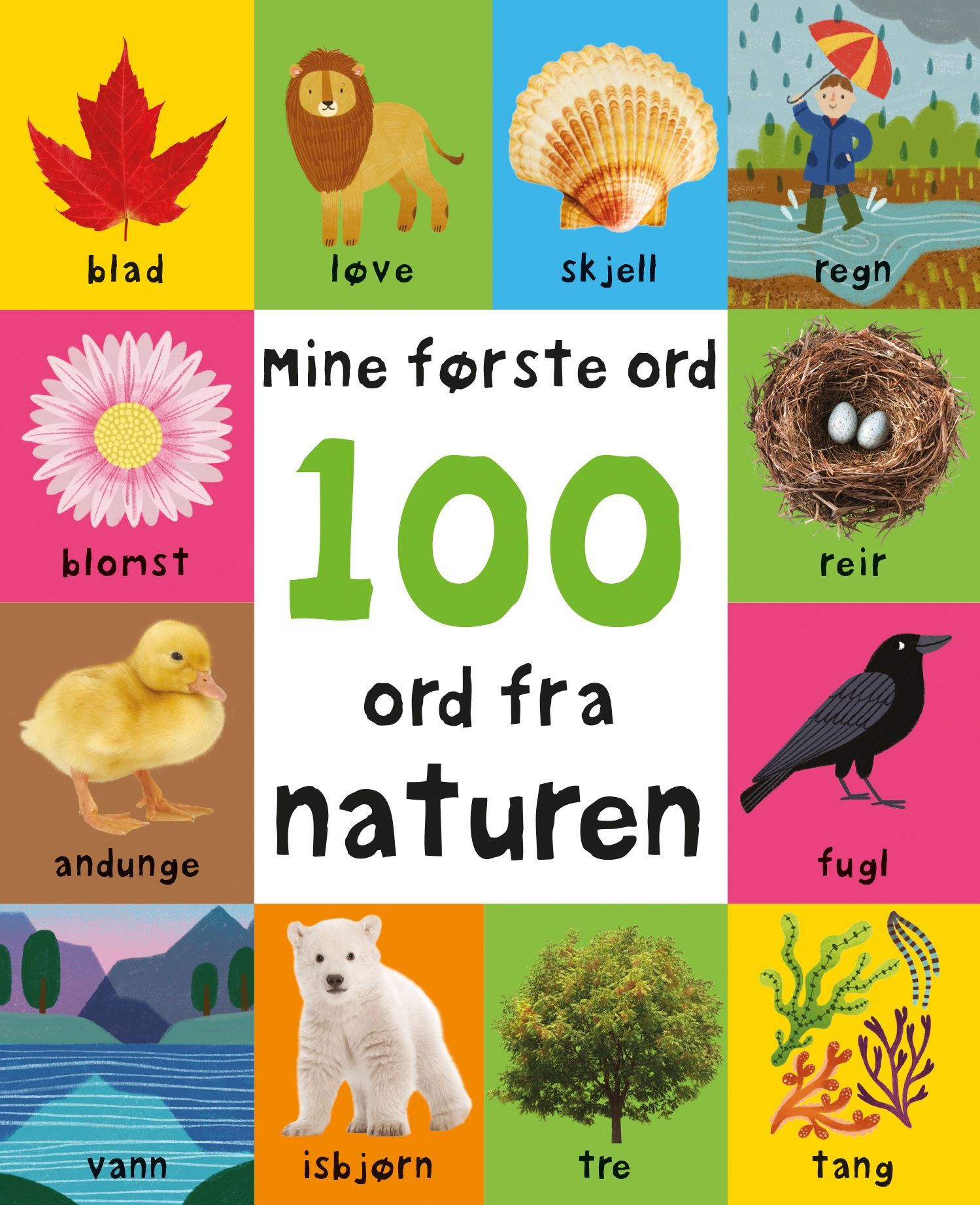 First 100 nature words