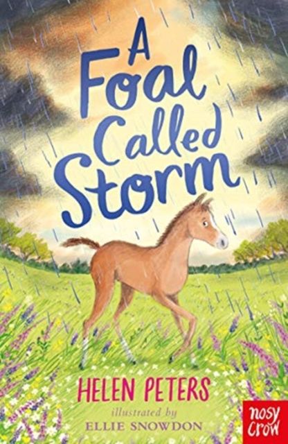 A foal called Storm