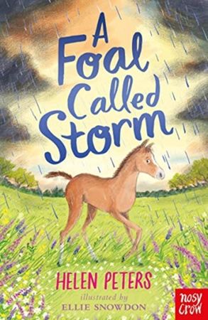A foal called Storm