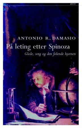 Looking for Spinoza