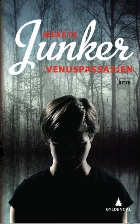Venuspassasjen