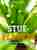 Succes with houseplants
