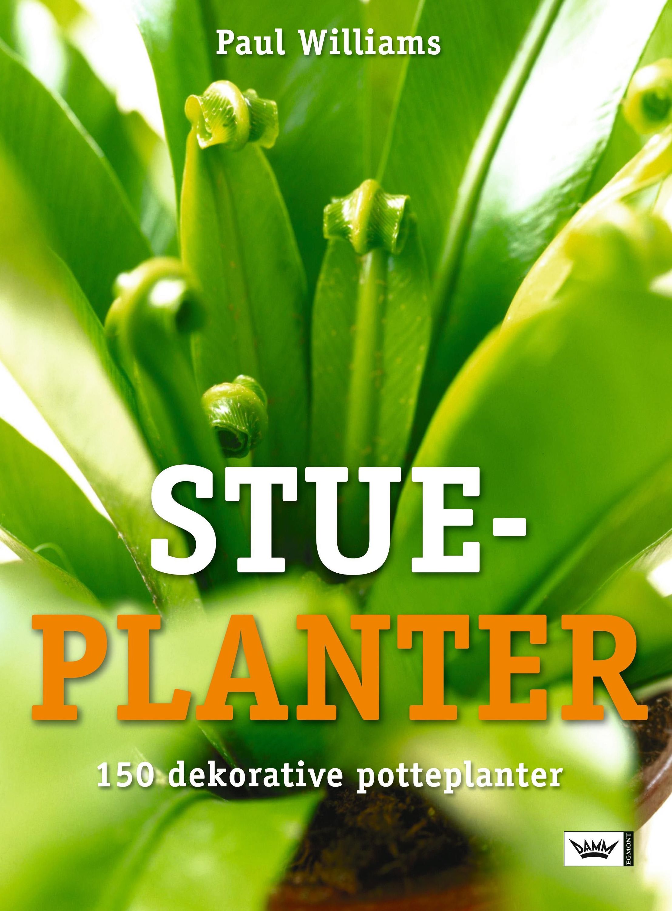 Succes with houseplants