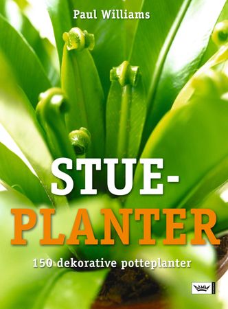 Succes with houseplants