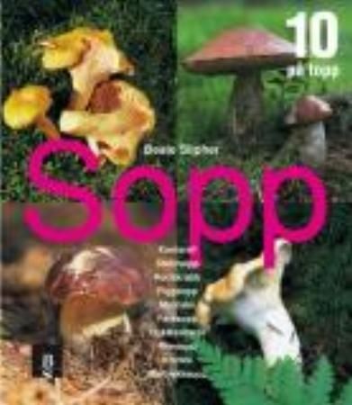 Sopp