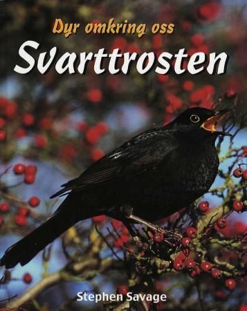 Blackbird