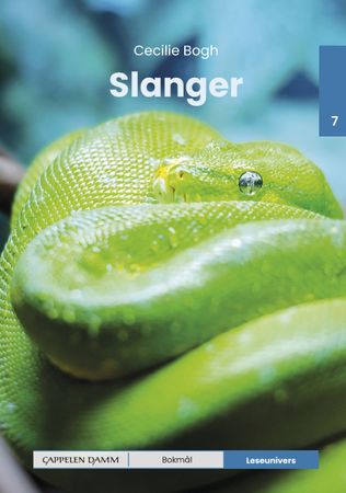 Slange
