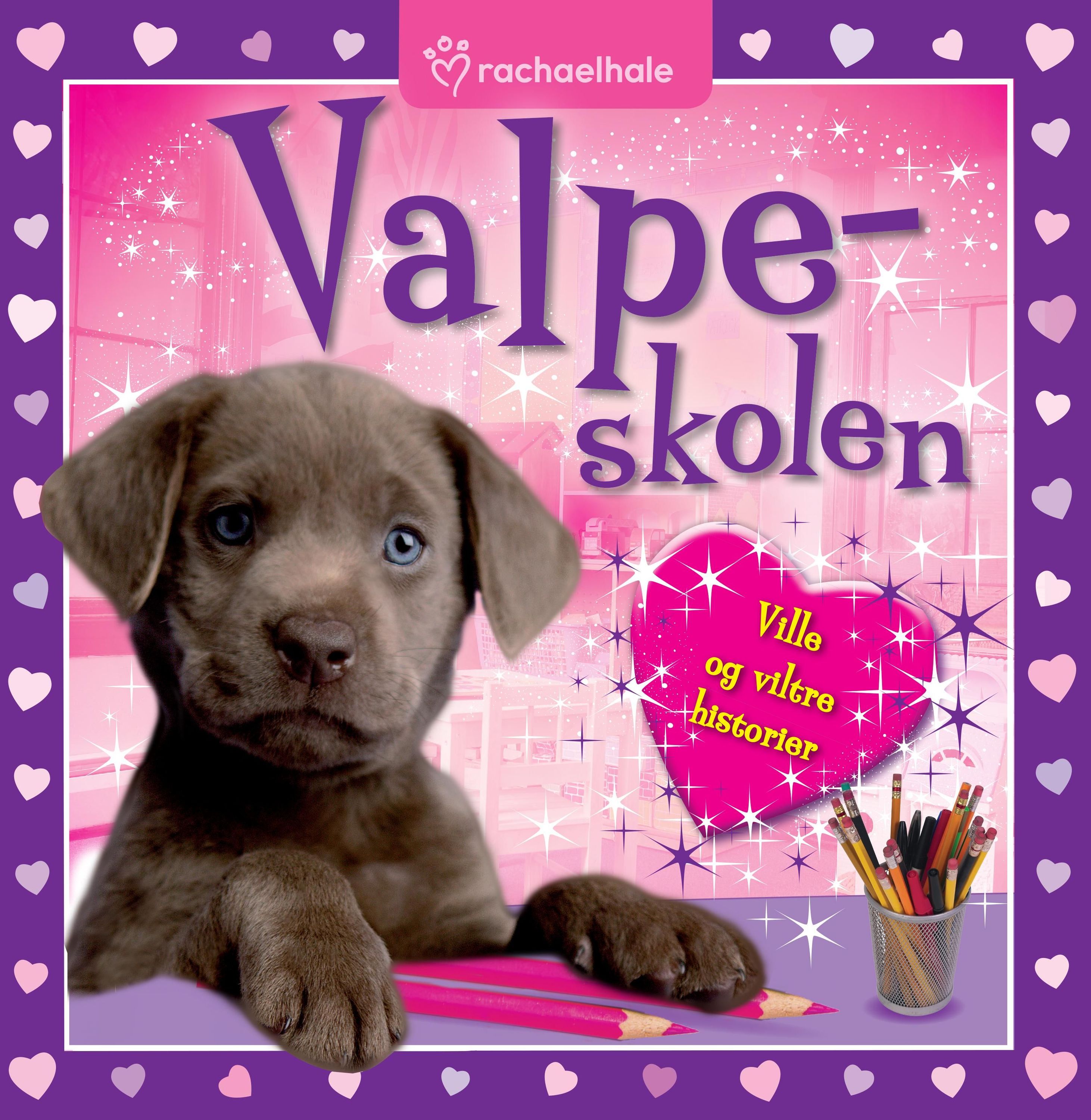 Puppy school