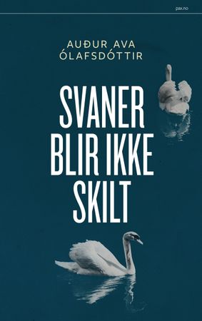 Undantenkningin