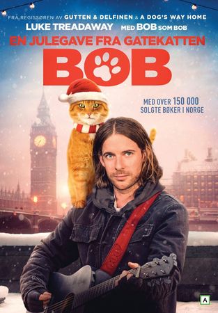 A Christmas gift from Bob