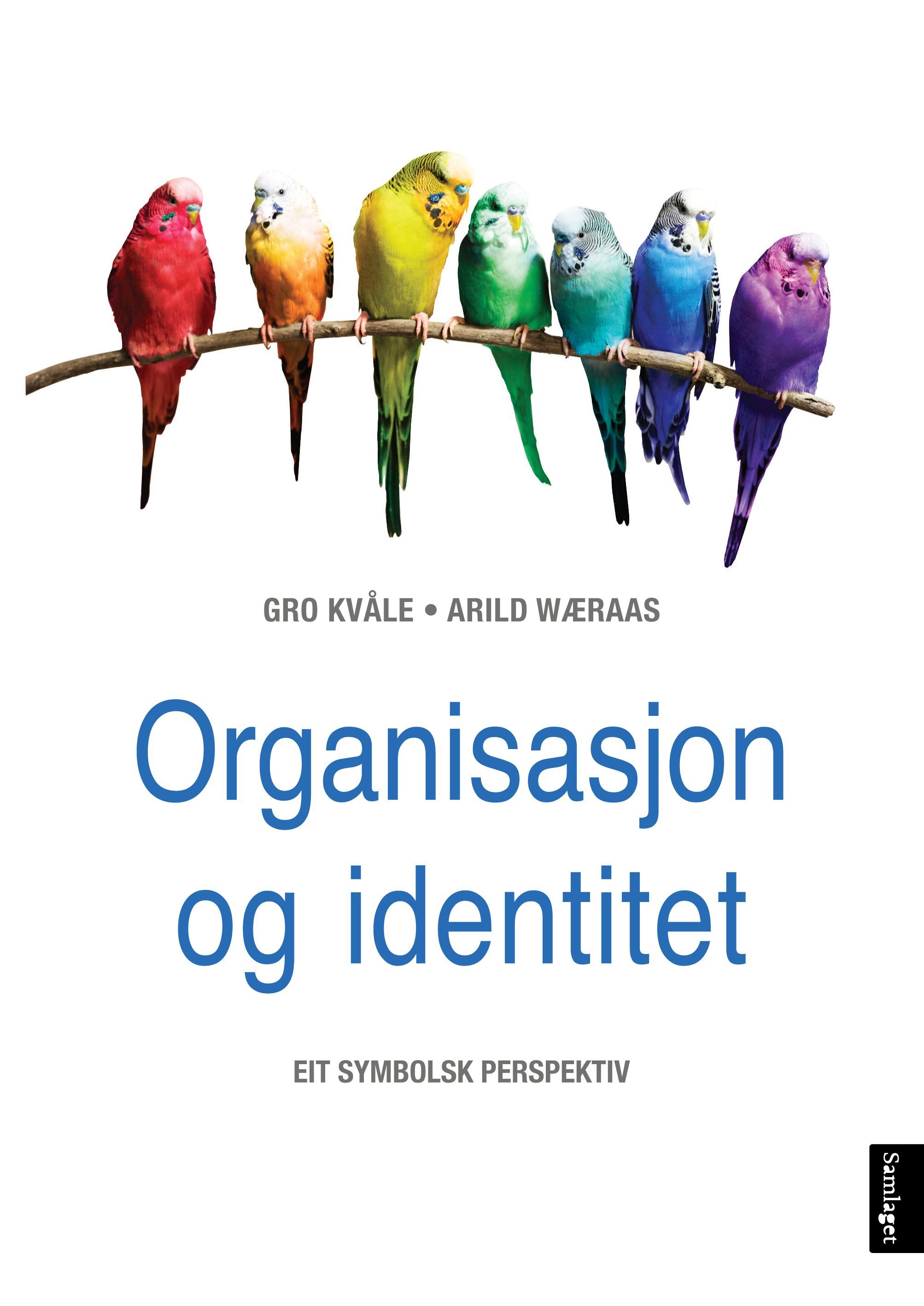 Organisasjon og identitet