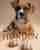 Ultimate dog