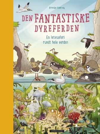 The amazing animal adventure