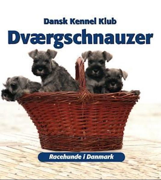 Dværgschnauzer