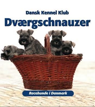 Dværgschnauzer