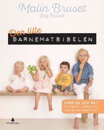 Den lille barnematbibelen
