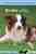 De Border collie