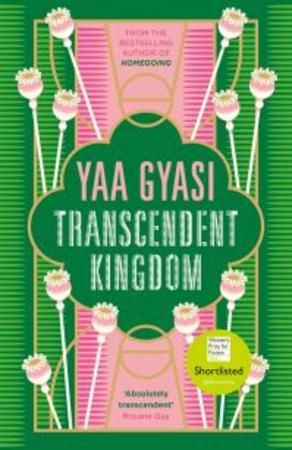 Transcendent kingdom