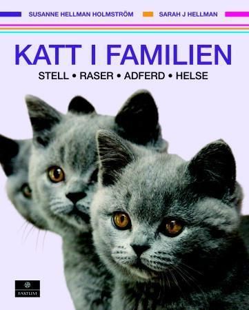 Att bli med katt