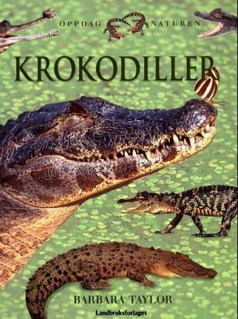Crocodiles
