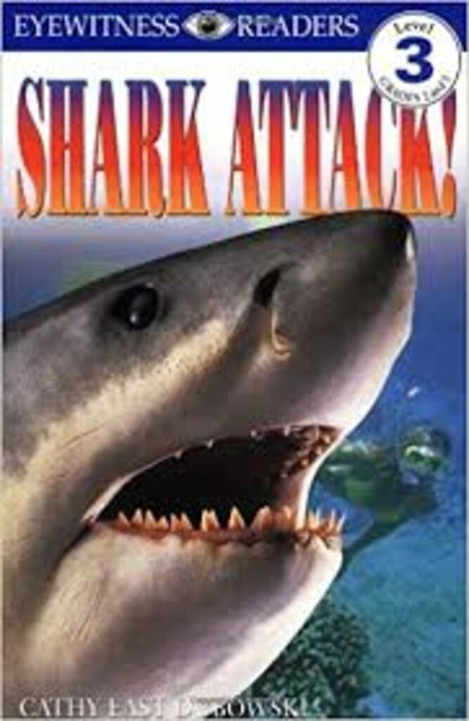Shark attack!